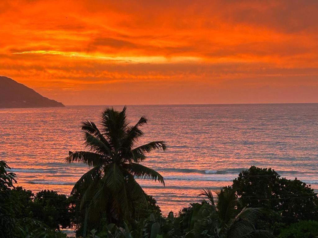 Summer Sand Holiday Apartments Beau Vallon  Exterior foto